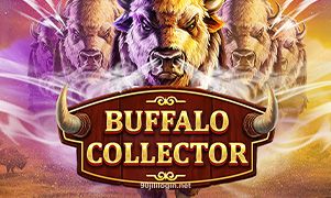 Buffalo Collector team logo